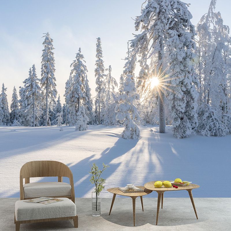 Photography Mildew Resistant Forest Mural Eco-friendly Modern Wall Covering for Adults Room