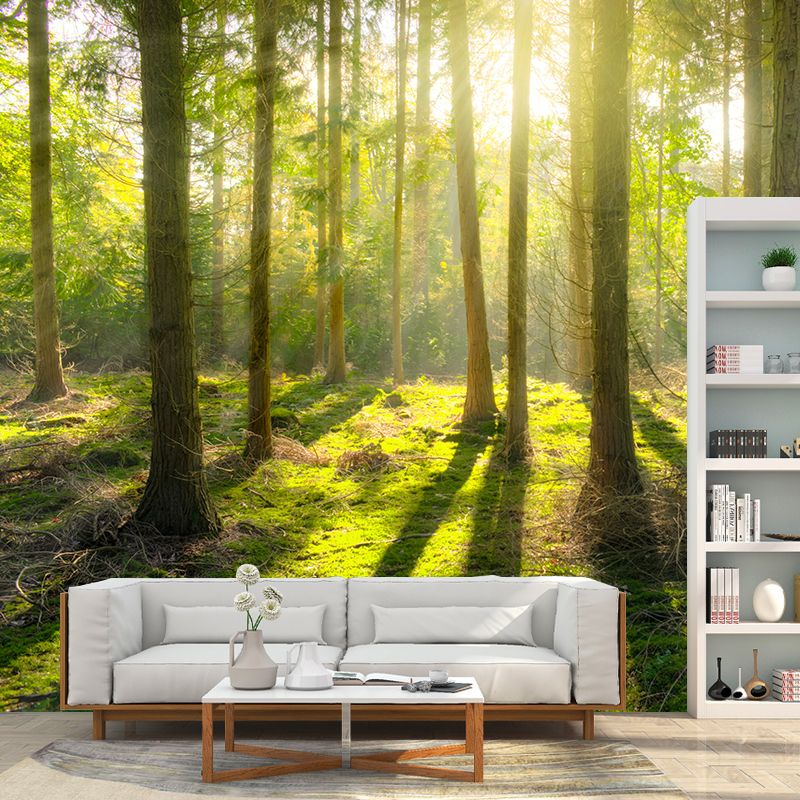 Environment Friendly Photography Forest Wallpaper Home Decor Mural Wallpaper