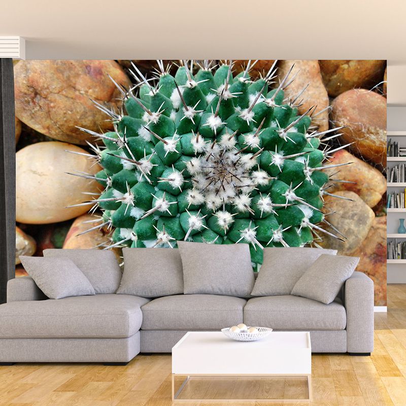 Vintage Wall Mural Tropical Cactus Print Drawing Room Wall Mural