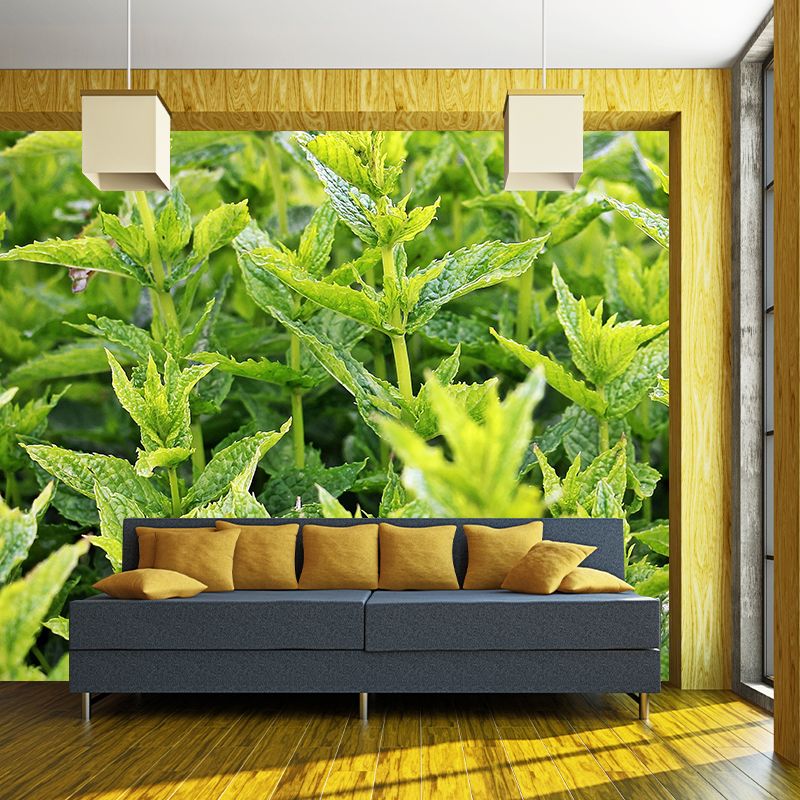Customized Modern Plants Mural Wallpaper with Cool Mint Leaves Pattern Mildew Resistant