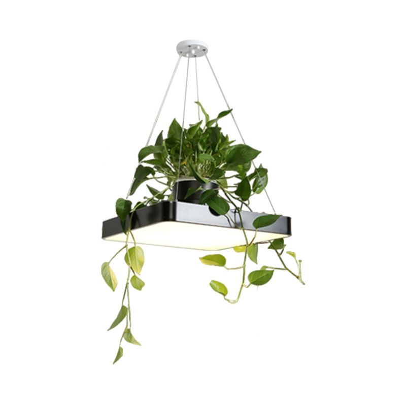 LED Chandelier Light Fixture Antiqued Dining Room with Square Acrylic Shade in Black/White/Blue, 16"/19.5" W