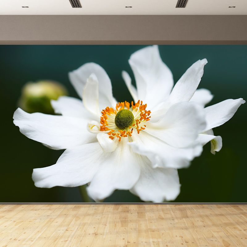 Beautiful Flower Mural Wallpaper Photography Horizontal Wall Decor for Home
