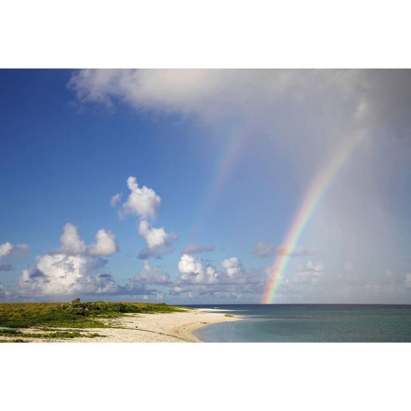 Contemporary Photography Rainbow Murals Wallpaper Moisture Resistant for Bedroom