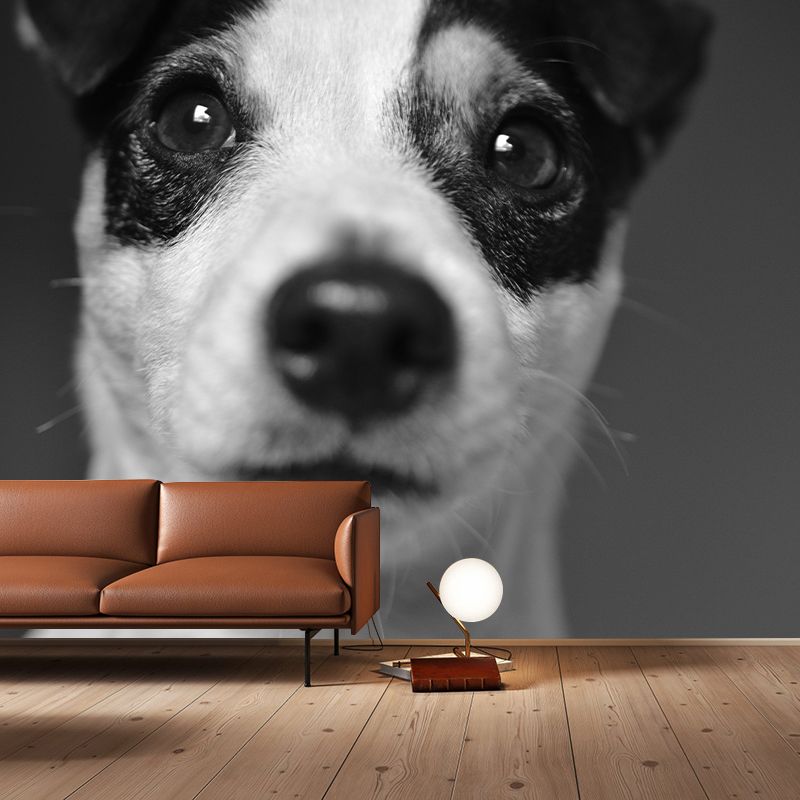 Horizontal Photography Lovely Dog Mural Stain Resistant Wall Art for Living Room