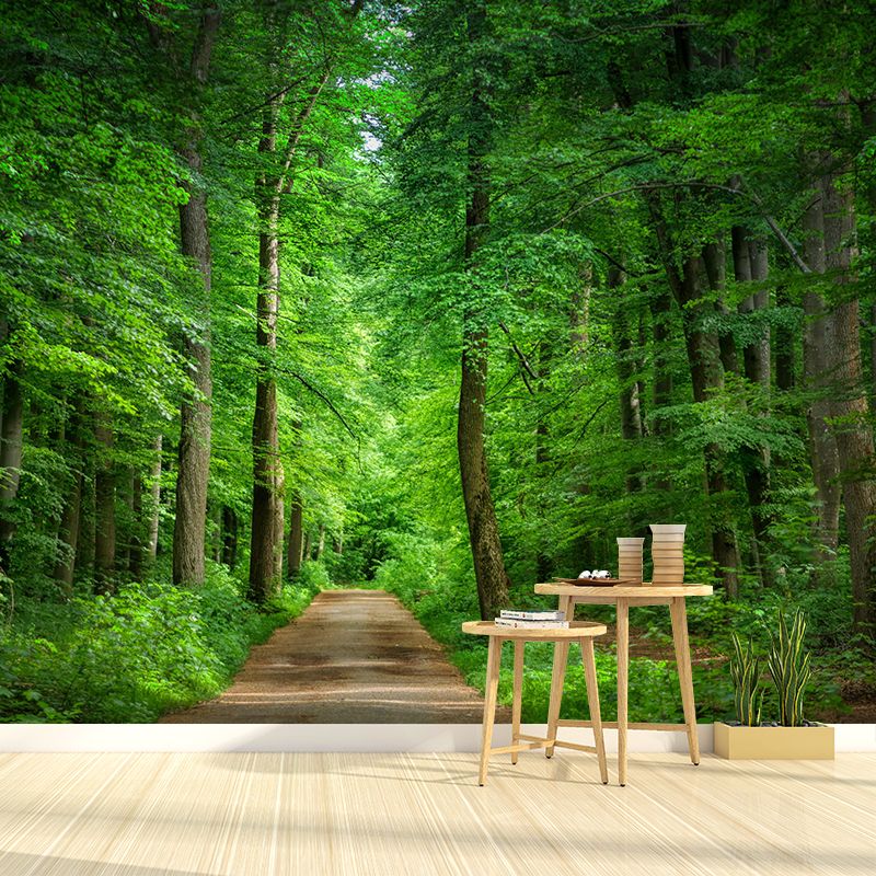Soft Color Moisture Resistant Forest Mural Wallpaper Wall Covering
