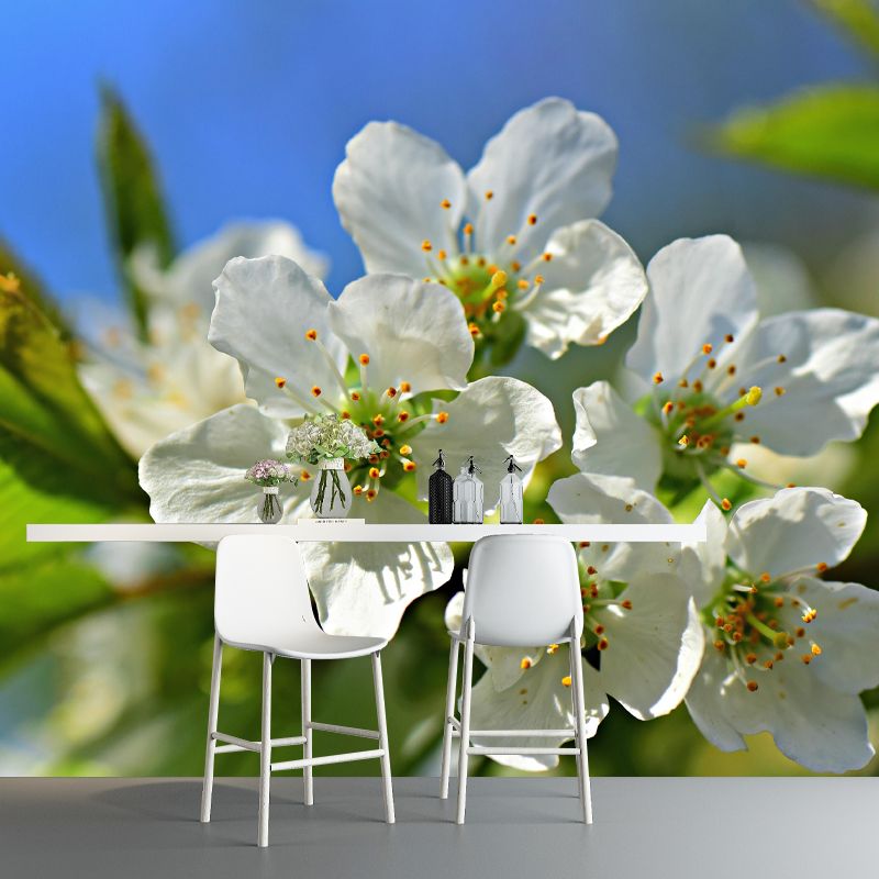 Customized Apple Blossom Mural Wallpaper Contemporary for Guest Room Decor