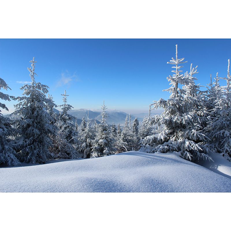 Forest Scenery Wall Mural Modernism Style Wall Decoration for Living Room