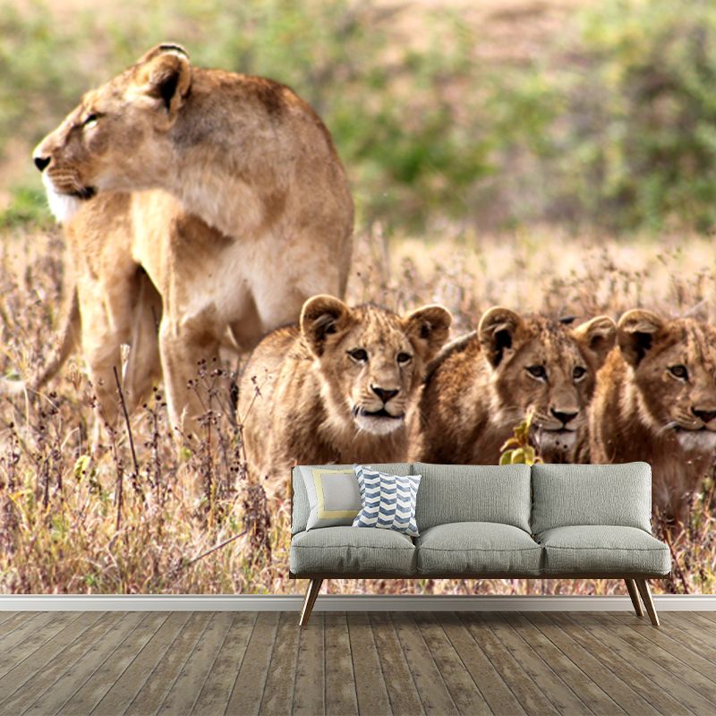 Lion and Its Child Mural Wallpaper Brown Modern Style Wall Decor for Family Room