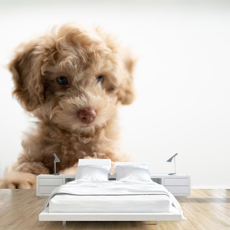 Washable Stain Resistant Mural Wallpaper Lovely Dogs Indoor Wall Mural