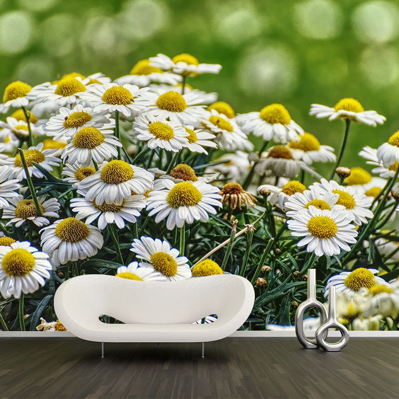 Minimalism Style Chrysanthemum Removable Wall Mural for Girls Bedroom, Customized Size Available