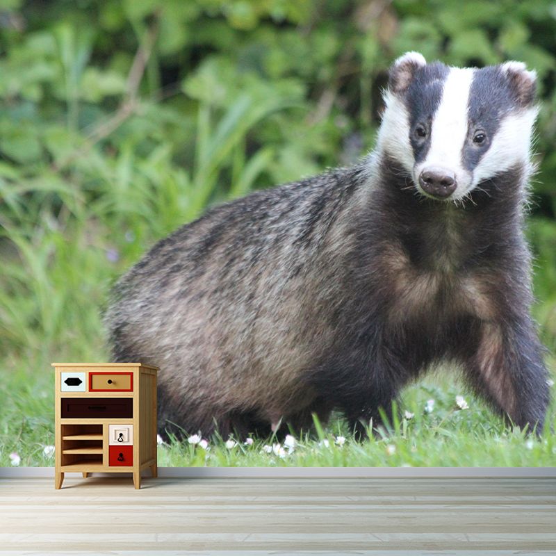 Badger Contemporary Wall Mural Modernist Wall Covering for Bedroom Decor