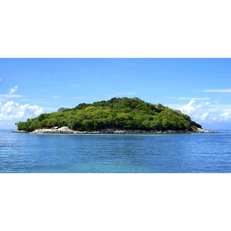 Photography Sea Mural Wallpaper for Bedroom Wall Covering in Soft Color