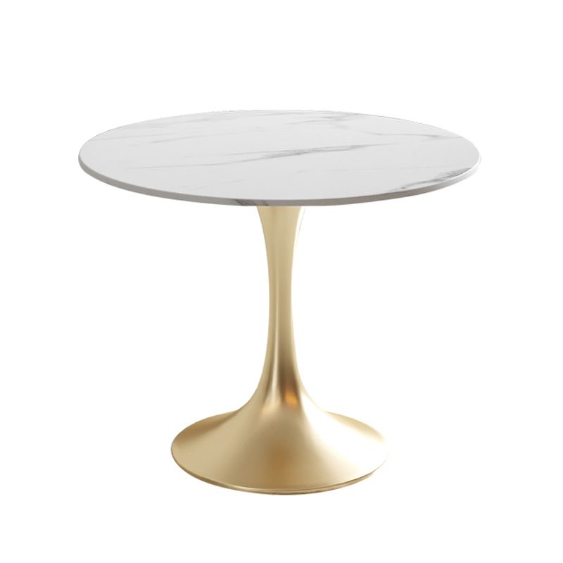 Traditional Luxury Dining Table Round Sintered Stone Dining Table with Tulip Base