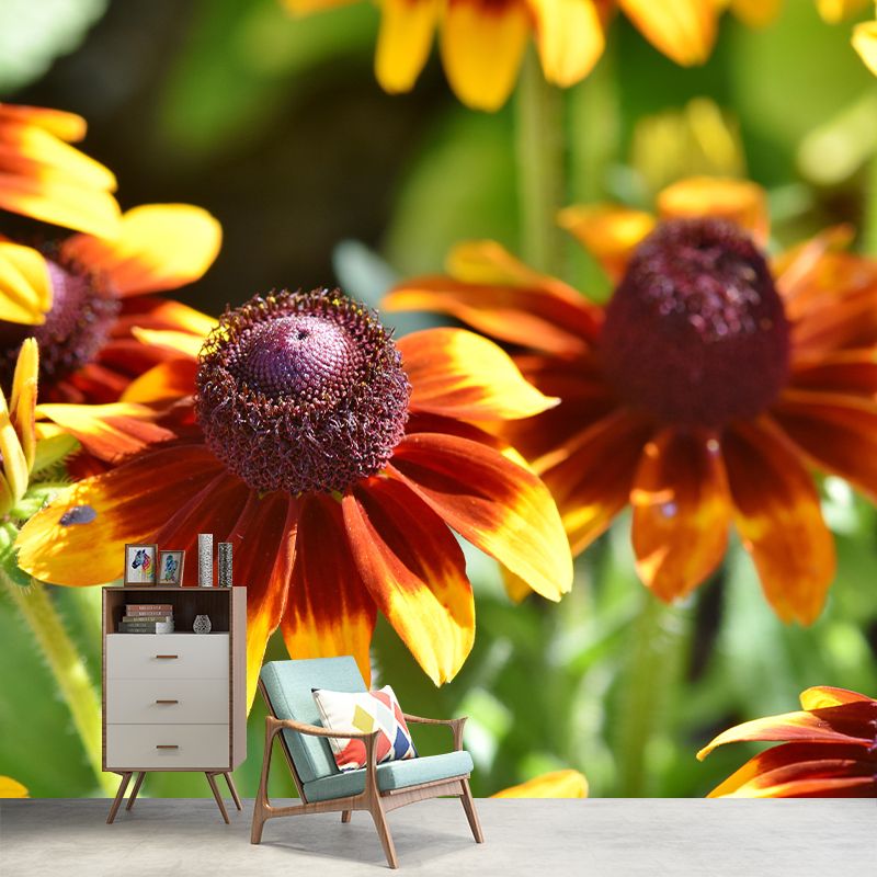 Cone Flower Blooming Mural Contemporary Photography for Living Room Decoration