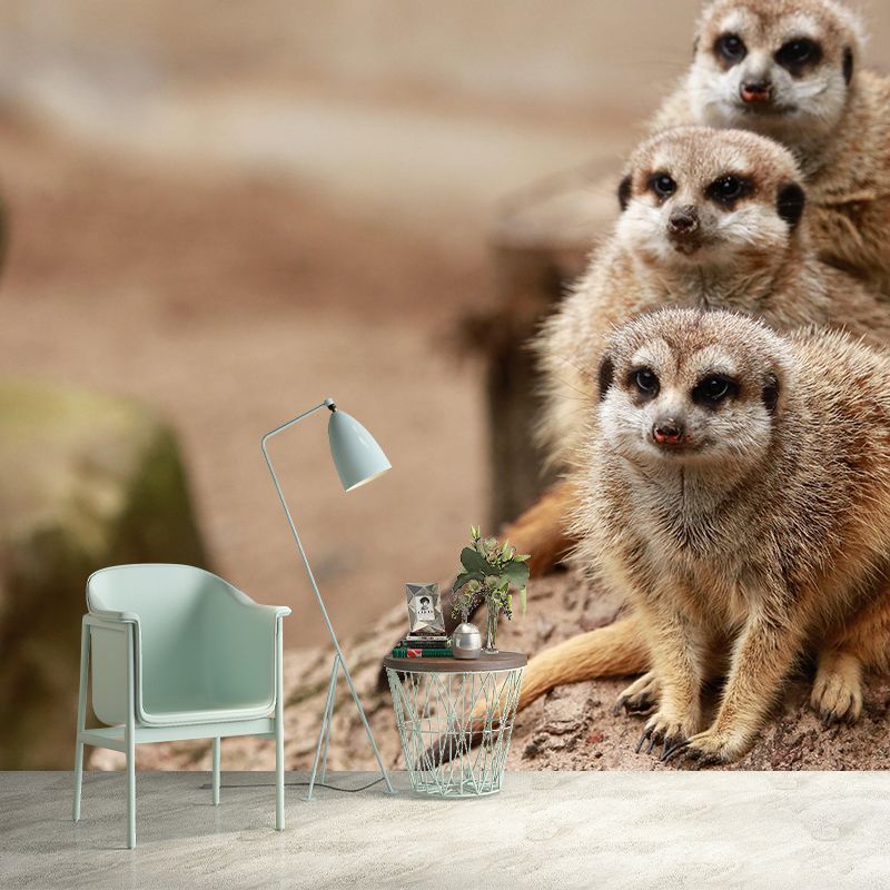 Contemporary Style Meerkat Mural Eco-friendly Wallpaper Wall Covering for Sitting Room