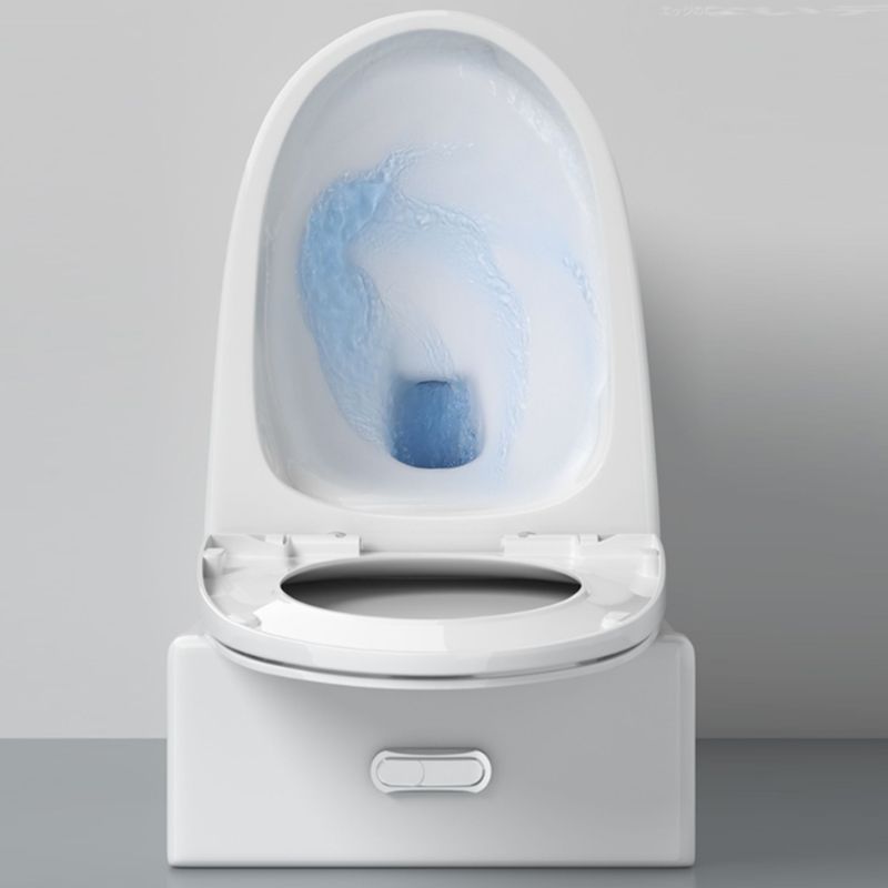 Modern Floor Mount Toilet Slow Close Seat Included Toilet Bowl for Washroom