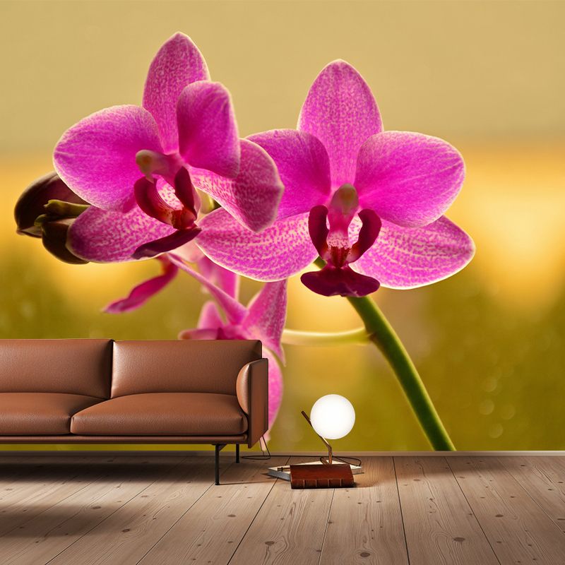 Phalaenopsis Mural Moisture Resistant Wallpaper Wall Decor for House Interior