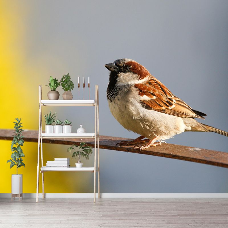 Sparrow Contemporary Mural Wallpaper Mildew Resistant Wall Decor for Accent Wall