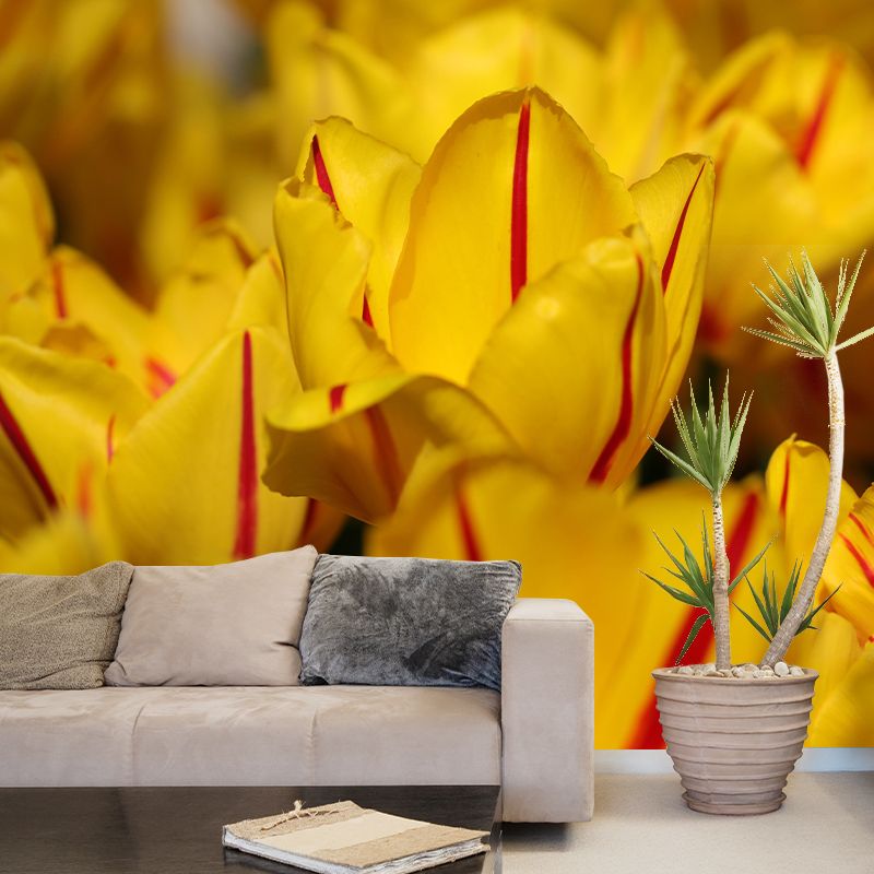 Tulips Mural Wallpaper Wall Covering Mildew Resistant for Sleeping Room