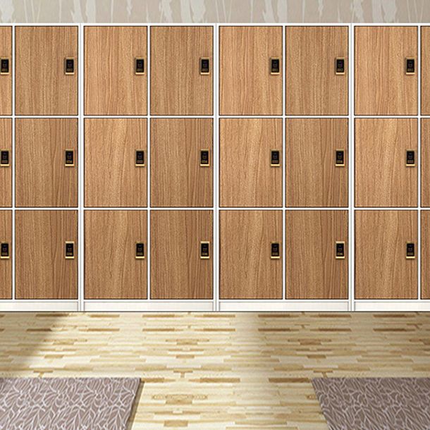 Manufactured Wood Storage Cabinet Contemporary Indoor Cabinet with Hinged Door