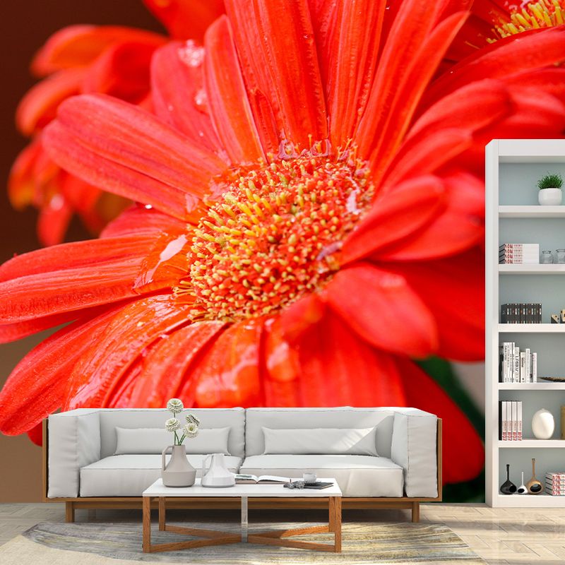 Photography Daisy Mural Wallpaper for Sitting Room Decor Multiple Sizes Available