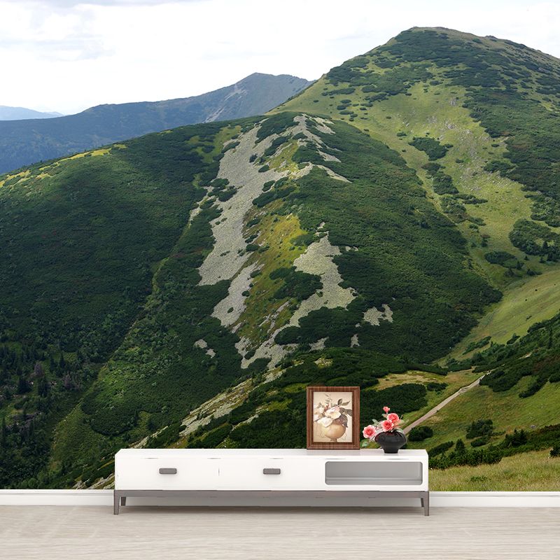 Modern Mountains Mural Contemporary Home Decor for Sitting Room, Water Resistant