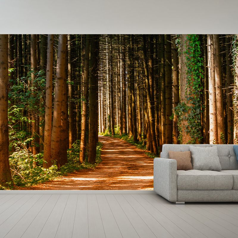 Photography Stain Resistant Wall Mural Forest Sitting Room Wallpaper
