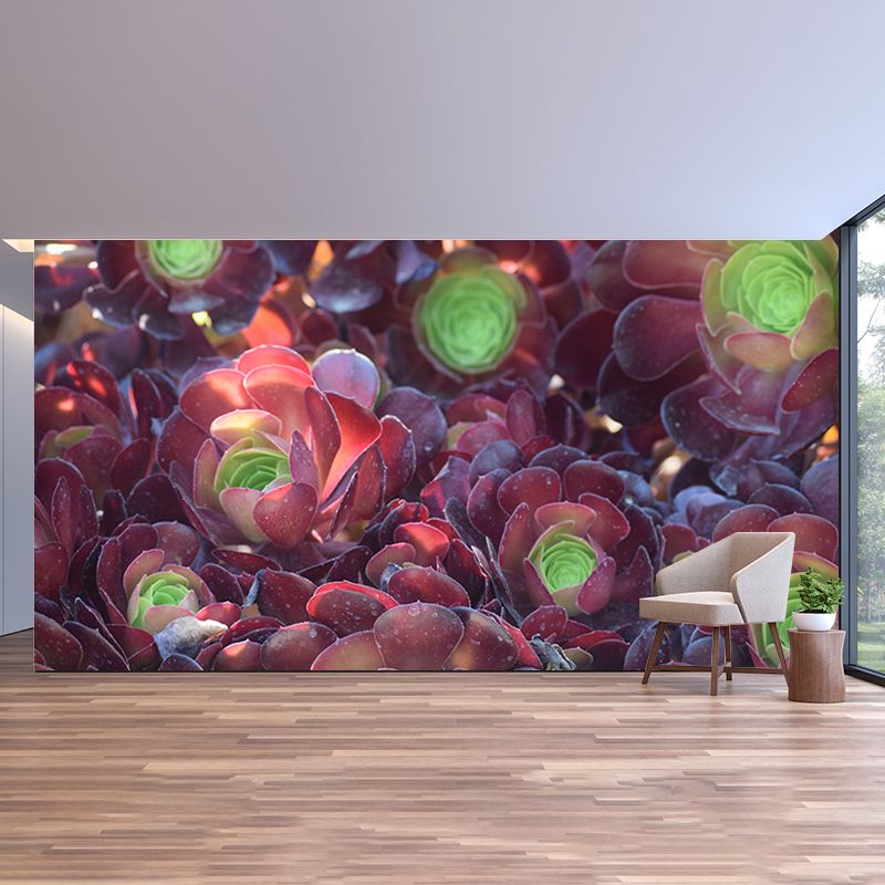 Succulent Plants Wall Mural for Modern Living Room Stain Resistant, Custom Size