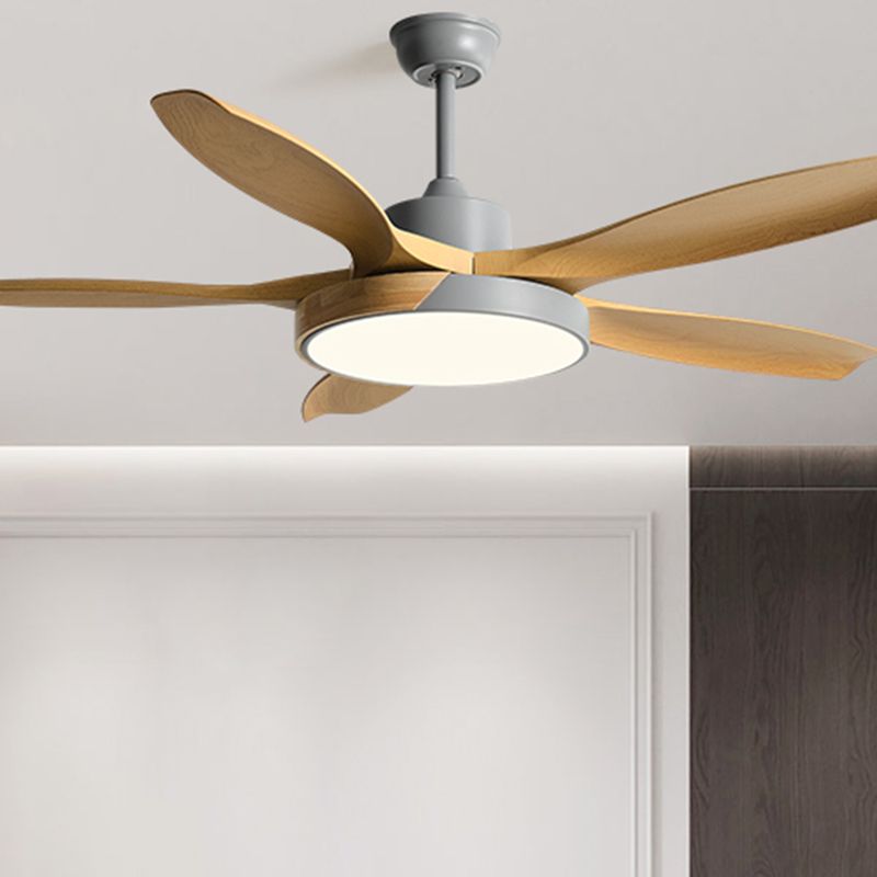 1 - Light Ceiling Fan Light Minimalist Metal and Acrylic Fan Light Ceiling