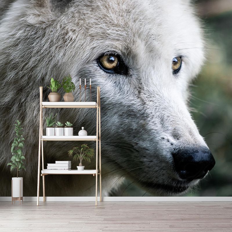 Customized Wolf  Wall Mural Horizontal Photography for Sleeping Room Decoration