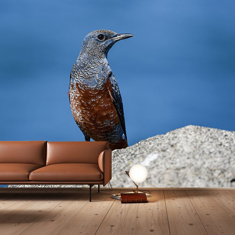 Blue-Rock-Thrush Wall Decor Mural Moisture Resistant Living Room Wall Covering