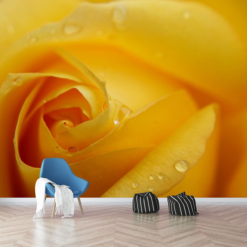 Photography Stain Resistant Mural Wallpaper Roses Living Room Wall Mural