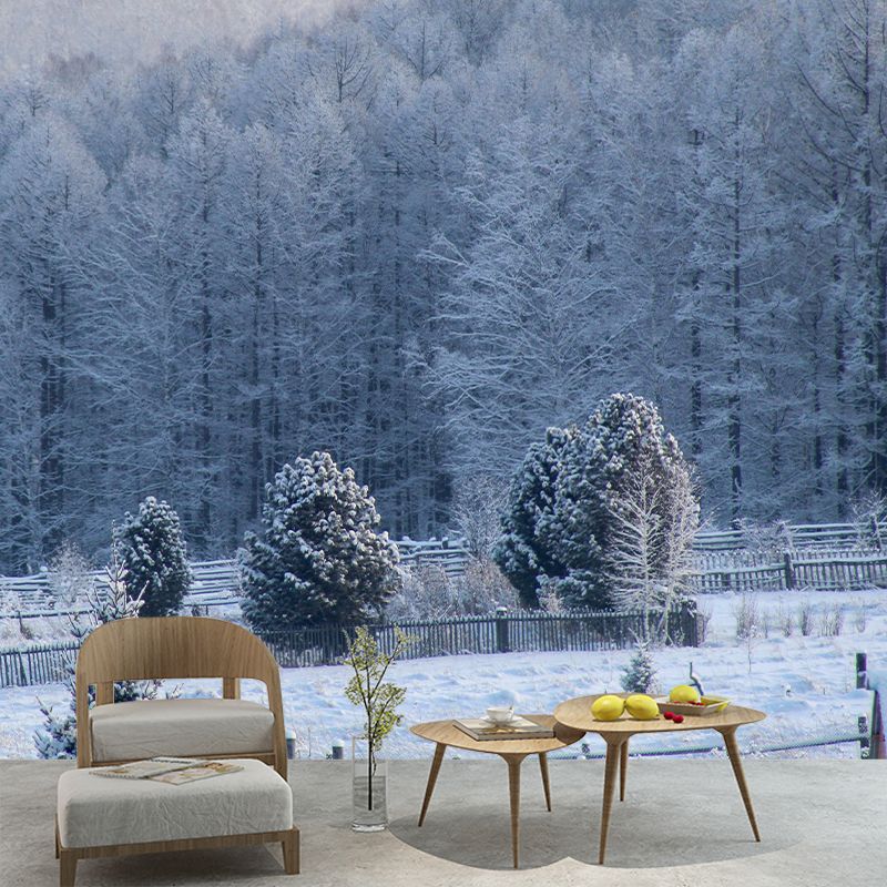 Photography Forest Landscapes Mural Eco-friendly Wallpaper for Room