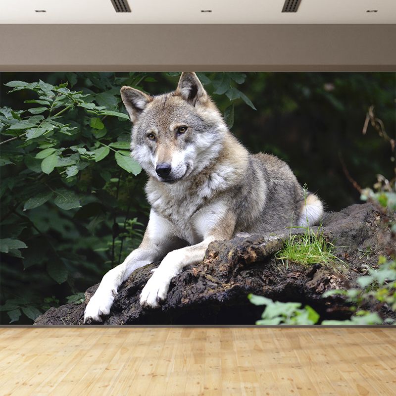 Contemporary Style Wolf Mural Eco-friendly Wallpaper Wall Covering for Sitting Room