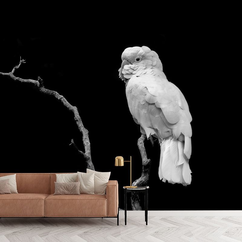 Parrot Print Mildew Resistant Wall Mural Wild Animal Wallpaper Sleeping Room Wall Mural