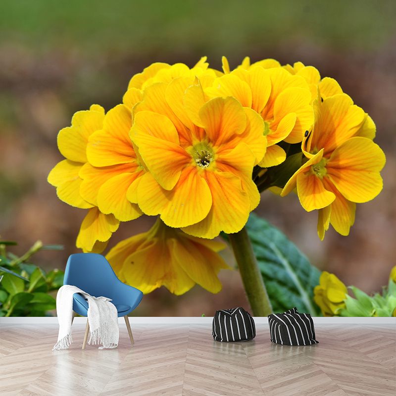 Flower Photo Stain Resistant Mural Decal Modern Wall Decor for Sleeping Room