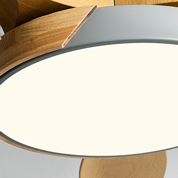 1 - Light Contemporary Ceiling Fan Metal 5 - Blades Fan Lighting Fixture