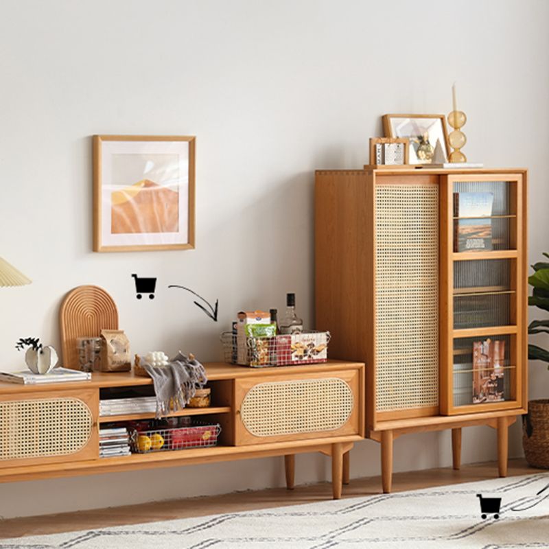Closed Back Bookshelf Solid Wood Contemporary Bookcase with Doors