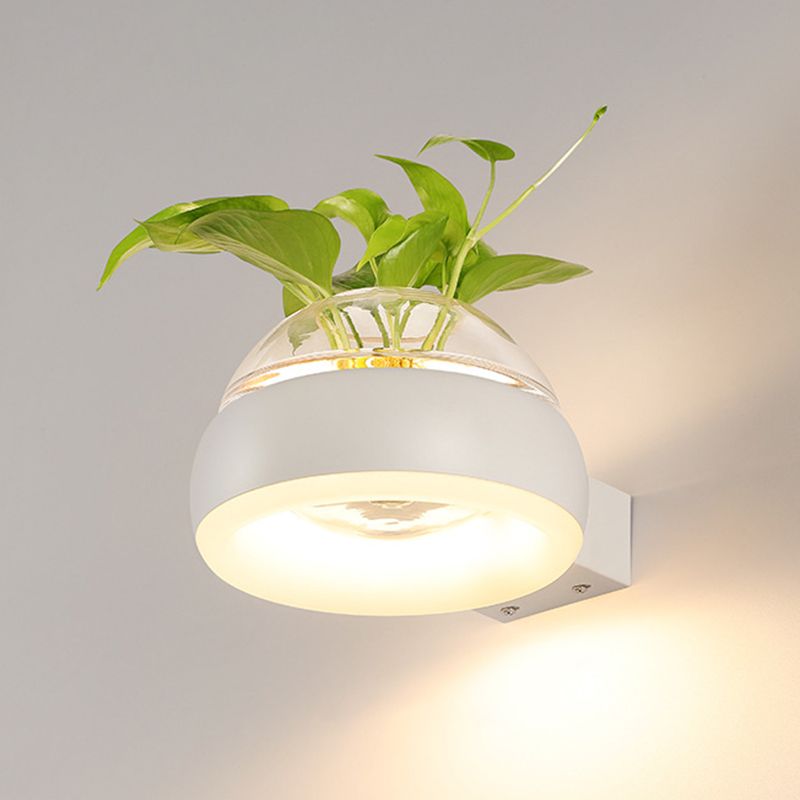 Modern Creative Plant Wall Sconce Light Glass Pot with Acrylic LED Wall Mount Lamp