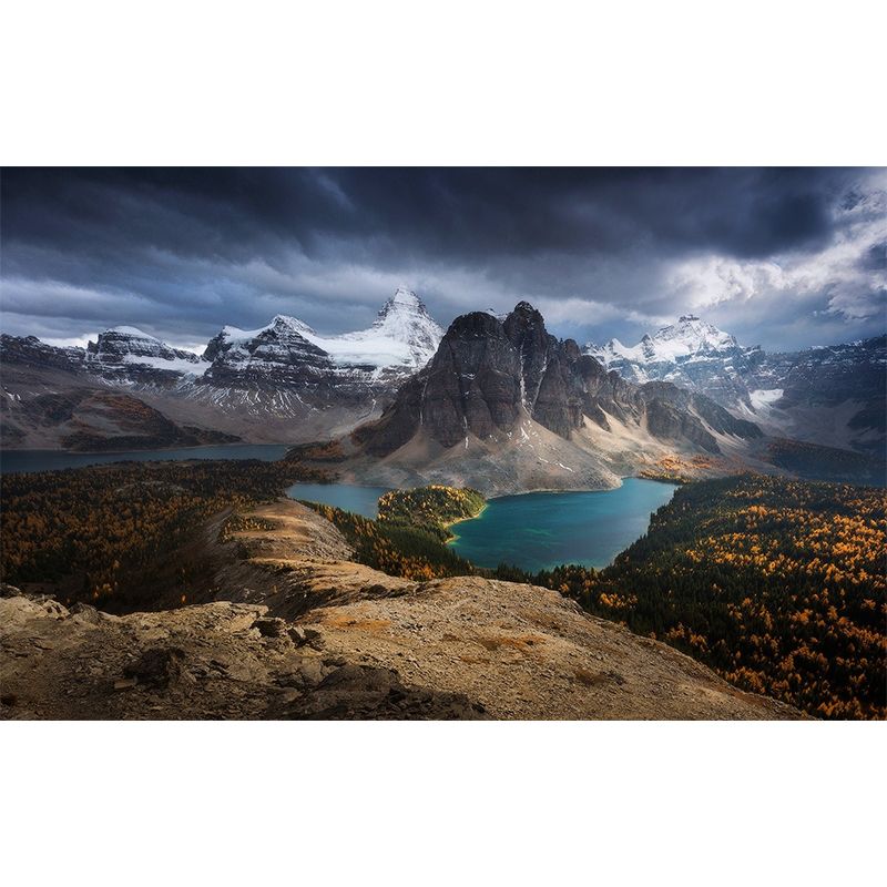 Grey Scenery Wall Paper Mural River Mountain with Flower Field Modern Washable Wall Art