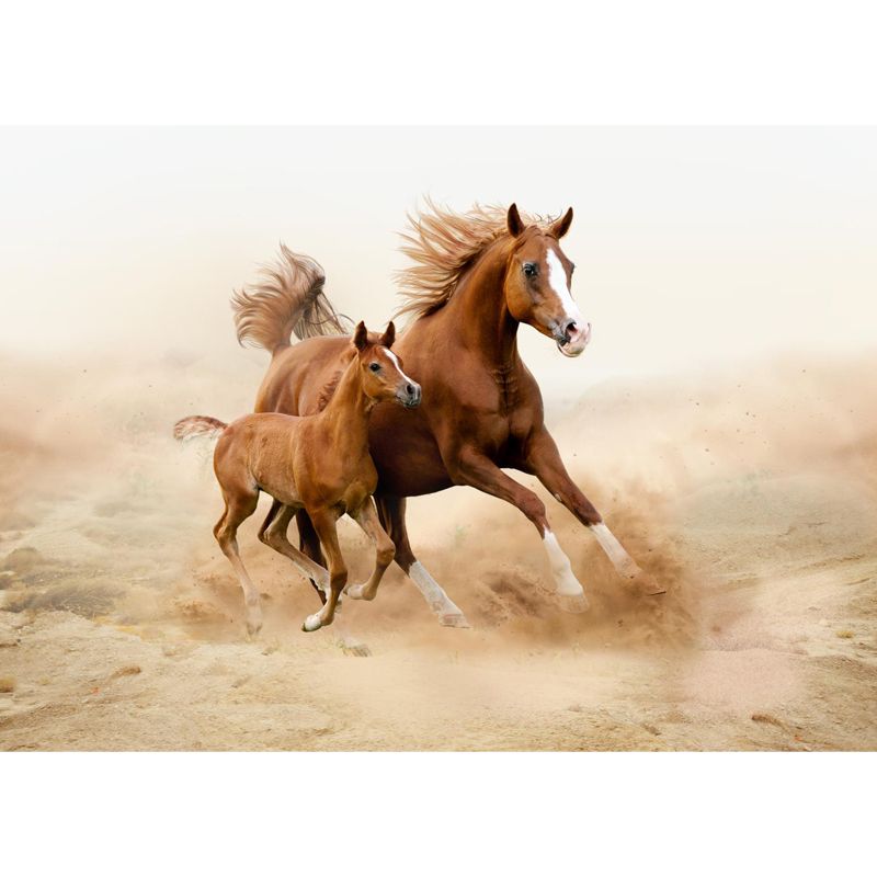 Running Horse Scenery Mural Decal for Girls Bedroom, Brown, Custom Size Available