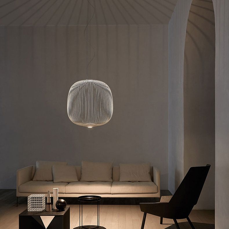 Simple Metal Hanging Light, Globe and Cage Shade 2-Light Hanging Lighting