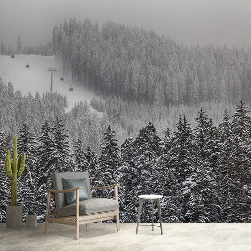 Mountain Forest Mural Horizontal Photography Sitting Room Wall Mural