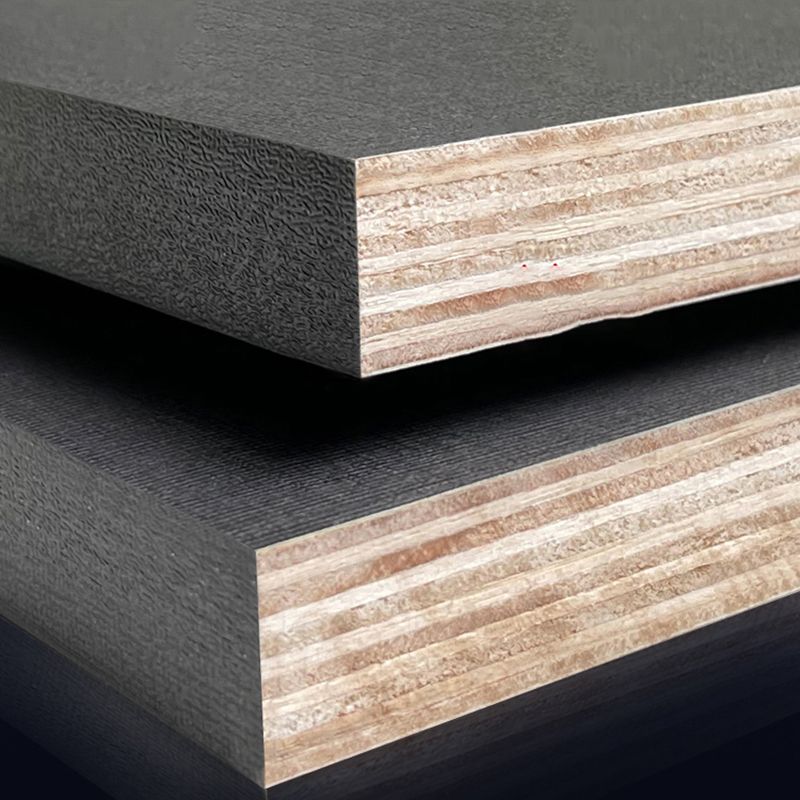 Contemporary Closed Back Bookcase Engineered Wood Vertical Bookshelf with Shelves