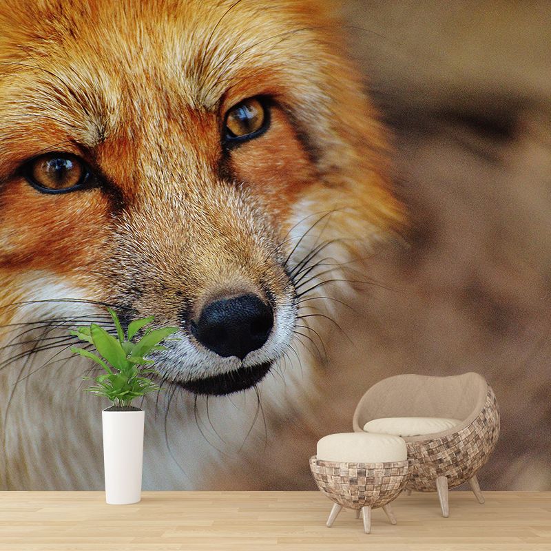 Photography Wall Mural Wild Animals Contemporary Wall Decor for Living Room