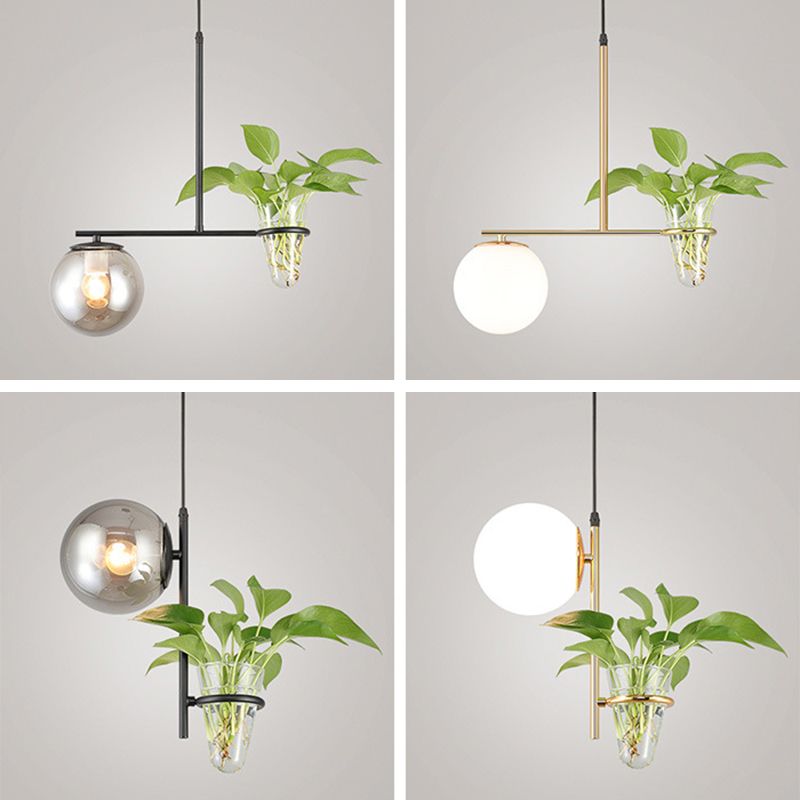 1 Light Hydroponics Botany Pendant Light moderne moderne Minimaliste en verre sphérique Salle de restauration