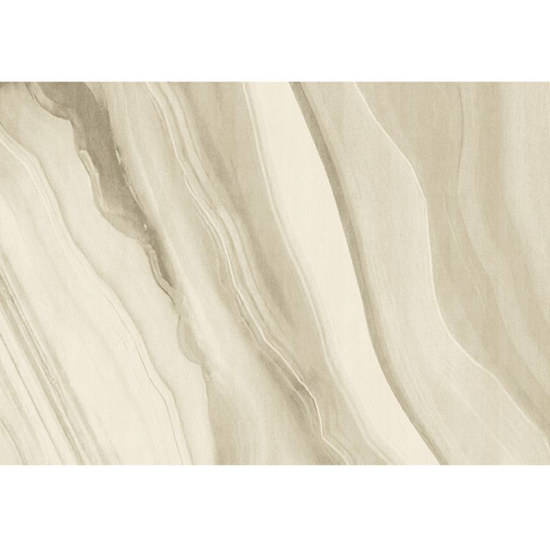 Simplicity Area Carpet Classical Indoor Rug Polyester Stain Resistant Area Rug for Living Room