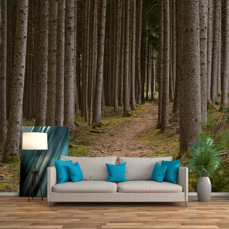 Photography Landscape Wall Mural Contemporary Decorative Wall Mural for Bedroom