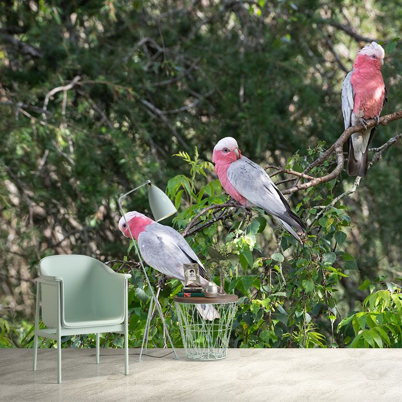 Parrot Animal Mural Wallpaper Stain Resistant Wall Covering for Living Room