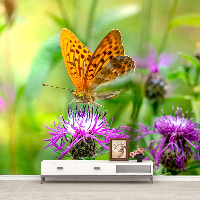 Silver Washed Fritillary Mural Contemporary Photography for Living Room Decoration